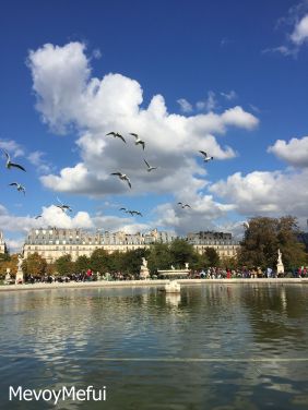 Jardin Les Tuileries Paris